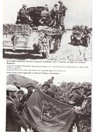 Divisions of the Waffen-SS in Action 1940-1945