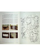 The German Fortifications of Metz and Thionville 1871-1918