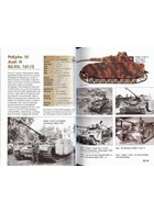 Tanks of the Wehrmacht 1933-1945: Typology