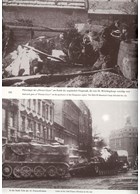 Cavalry-Divisions of the Waffen-SS in Photo's