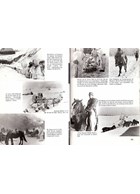 The German Ski-Troops - From the Beginnings to 1945