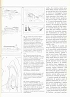 Castles and Fortifications of the Visconti and Sforza-families