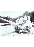 10 Original Photographs of (probably Swiss) light anti-aircraft guns