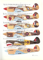 Curtiss Kittyhawk MK.I-IV in RAF - SAAF - RAAF - RNZAF - RCAF - NEIAF Service