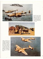 Luftwaffe Camouflage & Markings 1935-45 Volume 2